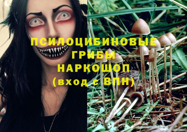 мяу мяу мука Алзамай