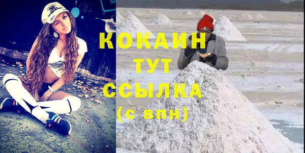 индика Абинск