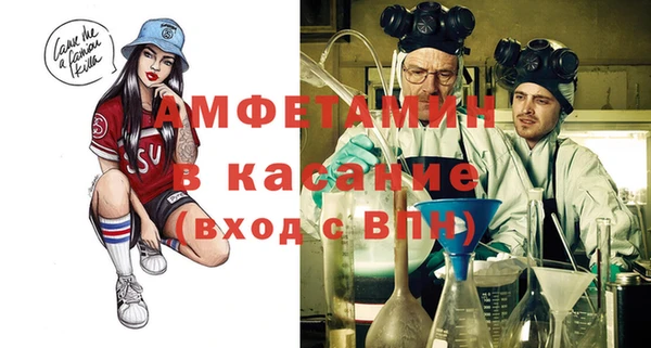 индика Абинск